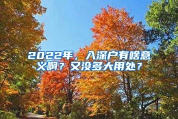 2022年，入深户有啥意义啊？又没多大用处？