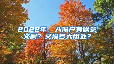 2022年，入深户有啥意义啊？又没多大用处？