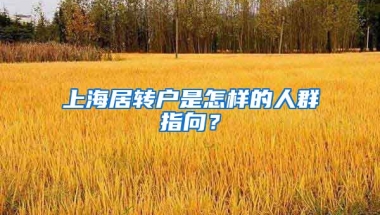 上海居转户是怎样的人群指向？