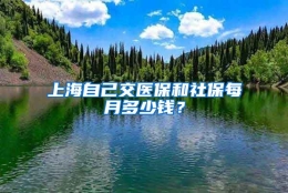 上海自己交医保和社保每月多少钱？