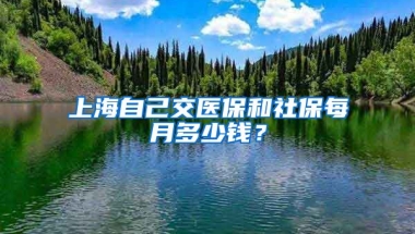 上海自己交医保和社保每月多少钱？