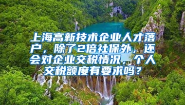 上海高新技术企业人才落户，除了2倍社保外，还会对企业交税情况，个人交税额度有要求吗？