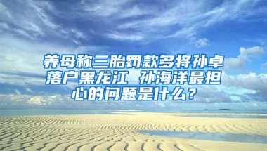 养母称三胎罚款多将孙卓落户黑龙江 孙海洋最担心的问题是什么？