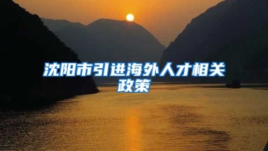 沈阳市引进海外人才相关政策