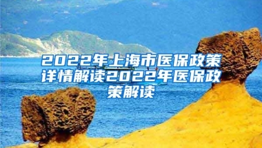 2022年上海市医保政策详情解读2022年医保政策解读