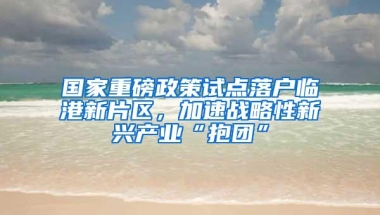 国家重磅政策试点落户临港新片区，加速战略性新兴产业“抱团”