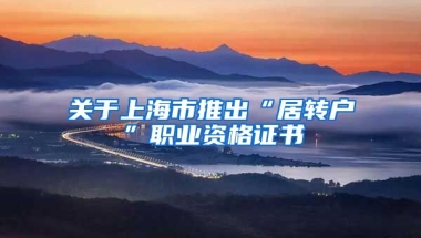 关于上海市推出“居转户”职业资格证书