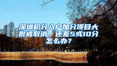 深圳积分入户加分项目大批被取消，还差5或10分怎么办？