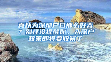 真以为深圳户口那么好弄？别怪没提醒你，入深户政策即将要收紧了