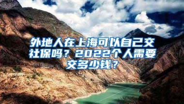 外地人在上海可以自己交社保吗？2022个人需要交多少钱？