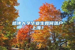 哈佛大学毕业生如何落户上海？