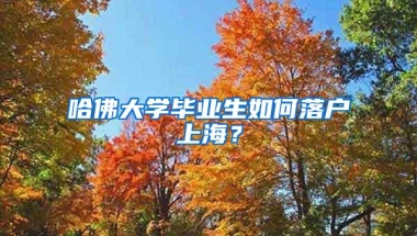 哈佛大学毕业生如何落户上海？