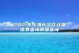 2021年上海长宁区社保缴费查询明细查询