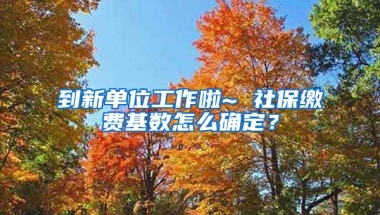 到新单位工作啦~ 社保缴费基数怎么确定？