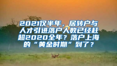 2021仅半年，居转户与人才引进落户人数已经赶超2020全年？落户上海的“黄金时期”到了？