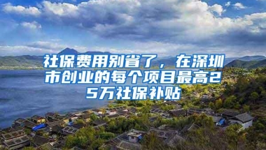 社保费用别省了，在深圳市创业的每个项目最高25万社保补贴