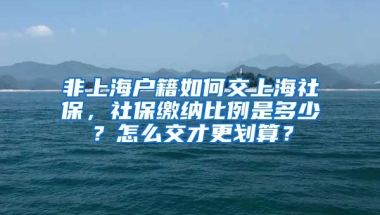 非上海户籍如何交上海社保，社保缴纳比例是多少？怎么交才更划算？