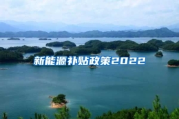 新能源补贴政策2022