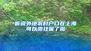 听说外地农村户口在上海可以缴社保了啦