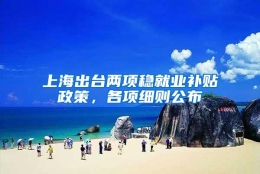 上海出台两项稳就业补贴政策，各项细则公布