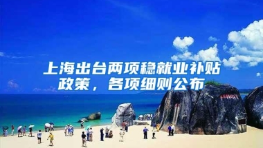 上海出台两项稳就业补贴政策，各项细则公布