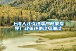 上海人才引进落户政策指导！政策逐条详细解读