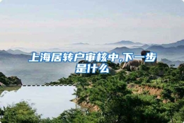 上海居转户审核中,下一步是什么