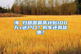 海 归回国最高补贴100万+送户口？购车还有优惠？