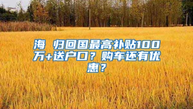 海 归回国最高补贴100万+送户口？购车还有优惠？