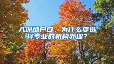 入深圳户口，为什么要选择专业的机构办理？