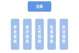 社保！这样交！有的人交了也白交！有的人根本不用交......