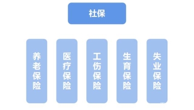 社保！这样交！有的人交了也白交！有的人根本不用交......