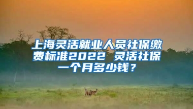 上海灵活就业人员社保缴费标准2022 灵活社保一个月多少钱？