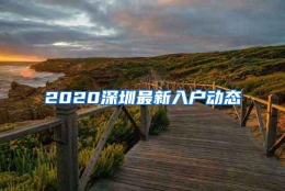 2020深圳最新入户动态