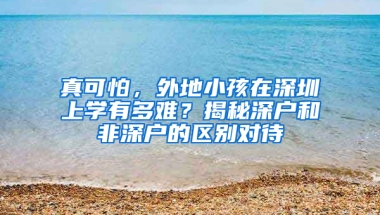 真可怕，外地小孩在深圳上学有多难？揭秘深户和非深户的区别对待