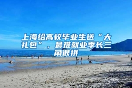 上海给高校毕业生送“大礼包”，最难就业季长三角很拼