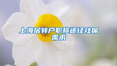 上海居转户职称途径社保需求