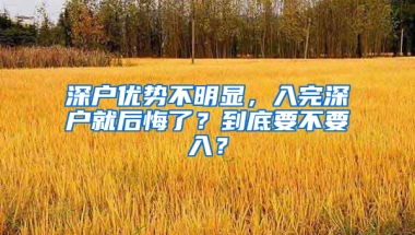 深户优势不明显，入完深户就后悔了？到底要不要入？