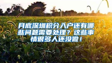 月底深圳积分入户还有哪些问题需要处理？这些事情很多人还没做！