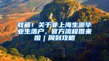 收藏！关于非上海生源毕业生落户，官方流程图来啦｜周到攻略