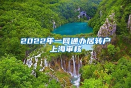 2022年一网通办居转户上海审核