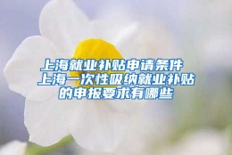 上海就业补贴申请条件 上海一次性吸纳就业补贴的申报要求有哪些