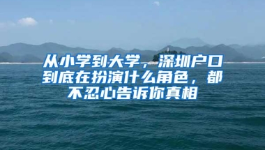 从小学到大学，深圳户口到底在扮演什么角色，都不忍心告诉你真相