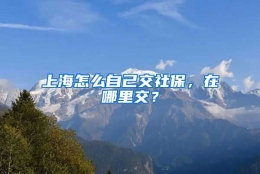 上海怎么自己交社保，在哪里交？