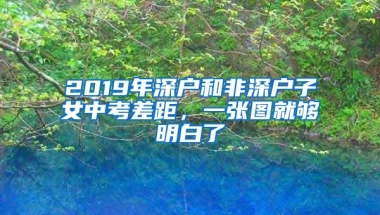 2019年深户和非深户子女中考差距，一张图就够明白了