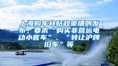 上海购车补贴政策细则发布，要求“购买非营运电动小客车”、“转让沪牌旧车”等