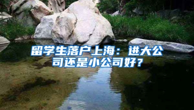 留学生落户上海：进大公司还是小公司好？