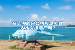 在上海的分公司可以办理人才引进落户吗？