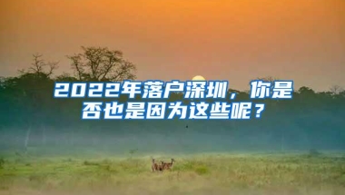 2022年落户深圳，你是否也是因为这些呢？