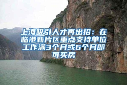 上海吸引人才再出招：在临港新片区重点支持单位工作满3个月或6个月即可买房